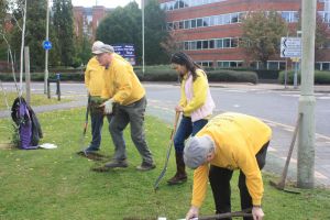 Bulb Planting 2016